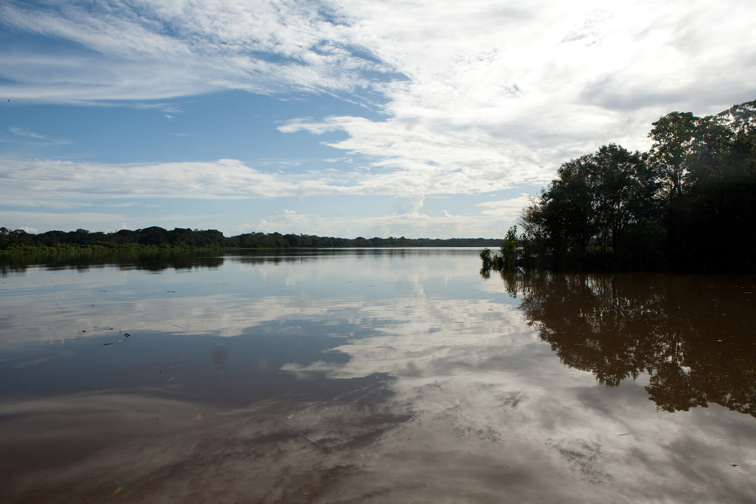 AMAZONAS 10 rio galeria_MG_4202.jpg